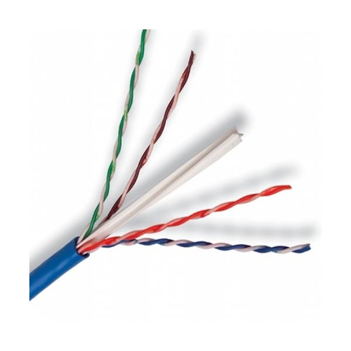 Cuộn Dây mạng CAT 6 - 305M