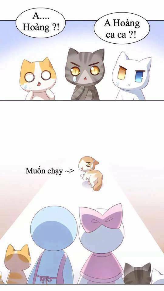 thị hoang chi thần chapter 14 18