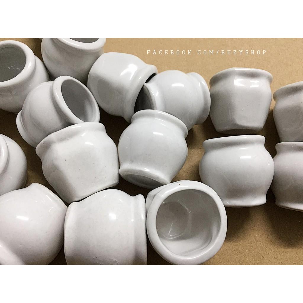 Chậu sứ trắng mini, chậu trồng sen đá - giao mẫu ngẫu nhiên