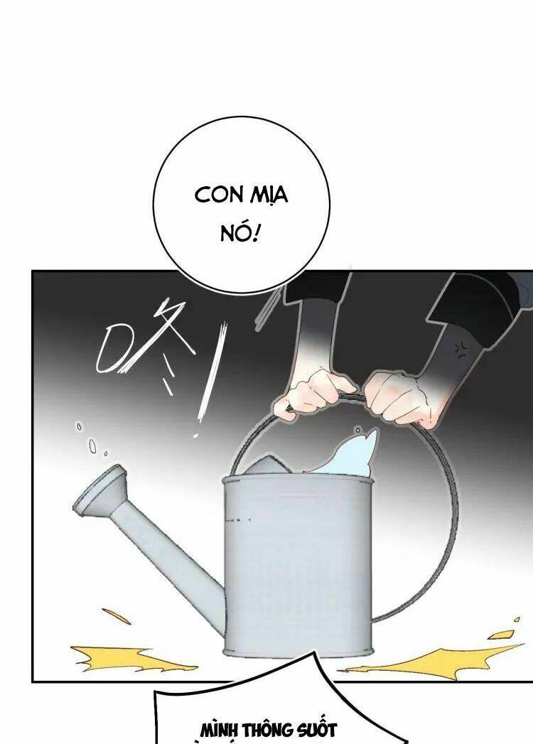 phù thủy hạng bét chapter 10.5 28