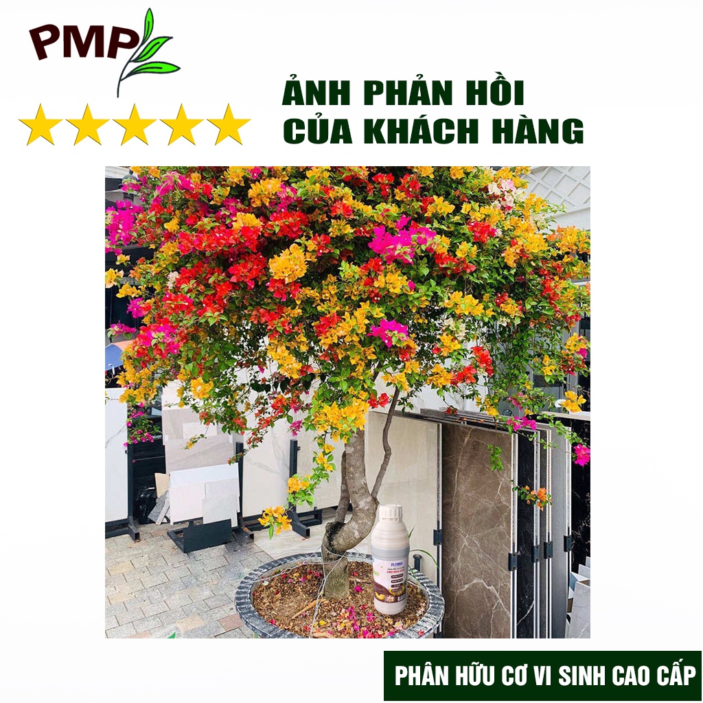 Phân bón hoa giấy Flymic PMP giúp kích hoa, lặp hoa nhanh, sai hoa, hoa nở đồng loạt chai 1 lít