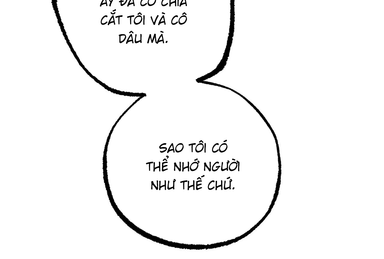 những chú thỏ của hapypy chapter 57 101