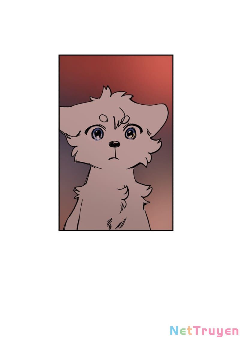 lumine - cội nguồn ánh sáng chapter 113 18