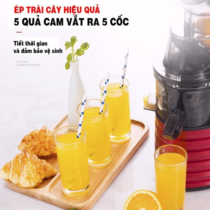 Máy ép chậm cao cấp SAVTM JE-31 - Bảo hành 12 tháng