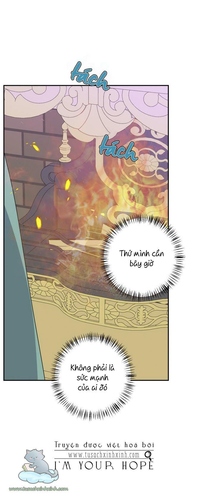 tôi đang nuôi dưỡng một con quái thú chapter 55 19