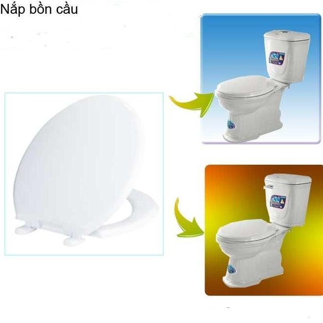 nắp nhựa bồn cầu mã 1803