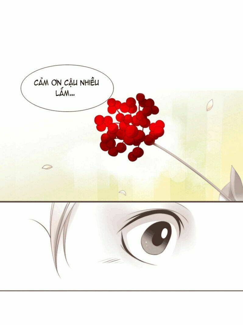 12 nights chapter 5 29