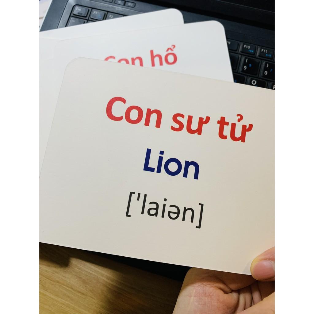 Bộ Thẻ  Học Flashcard Thông Minh Cho Bé 19 Chủ Đề Loại Lớn - Hàng Việt Nam Cao Cấp Chính hãng Amalife