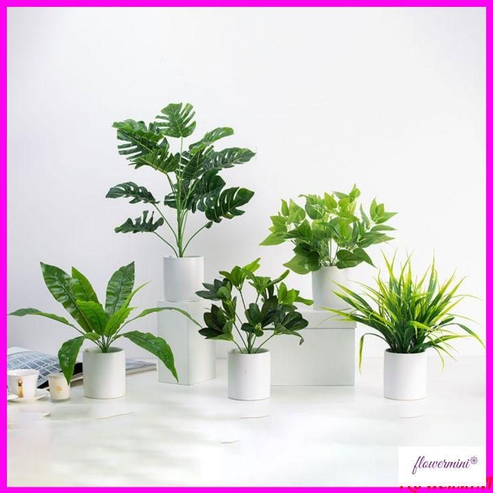 Chậu cây cảnh giả để bàn trang trí nhiều mẫu, cây vạn niên thanh decor nhà hàng xanh mát Flowermini CC-05