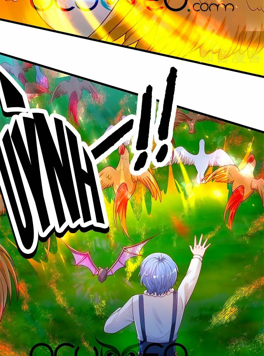 bỗng một ngày trở thành con gái nhà vua chapter 243 4