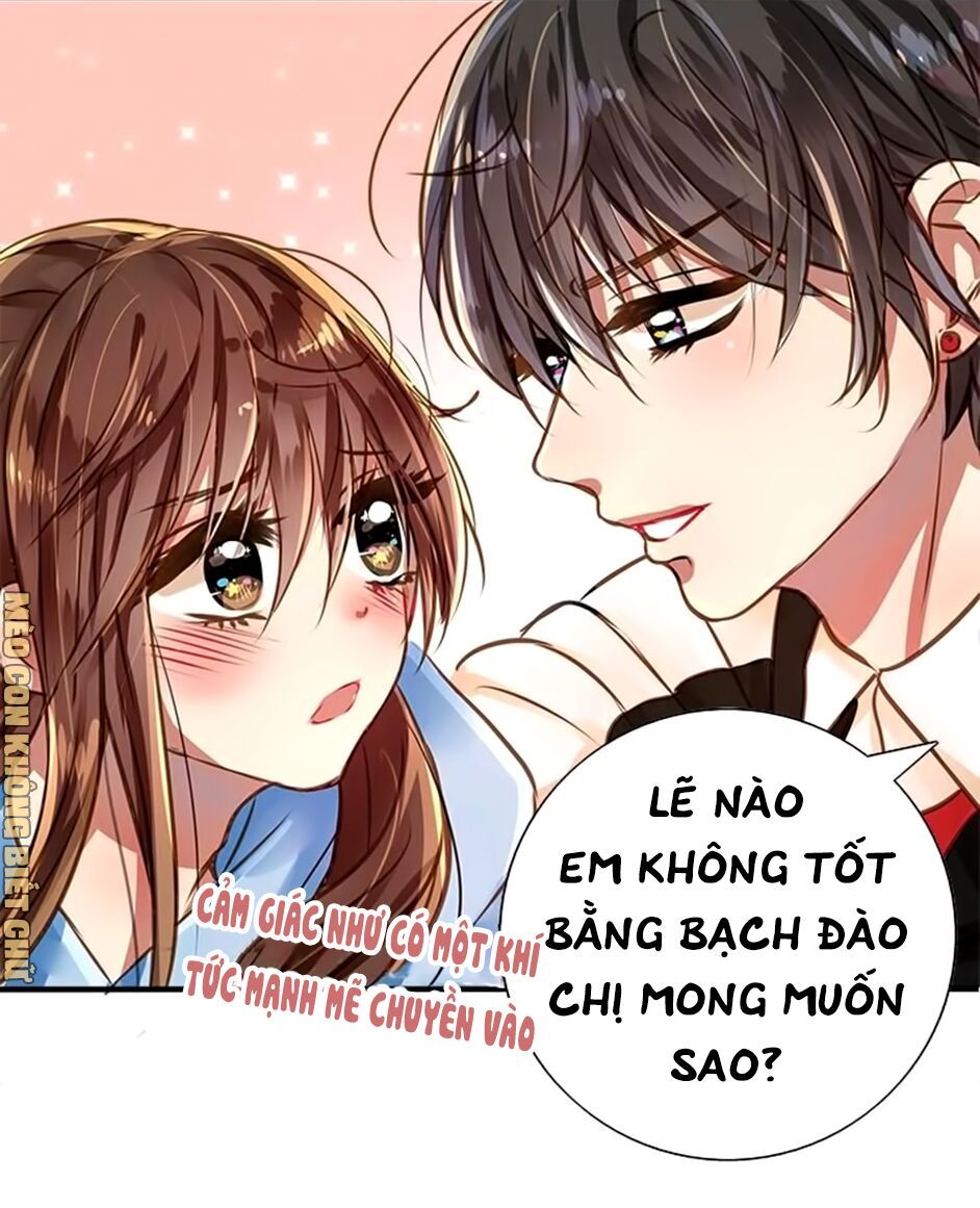 không có ssr làm sao để yêu chapter 5 24
