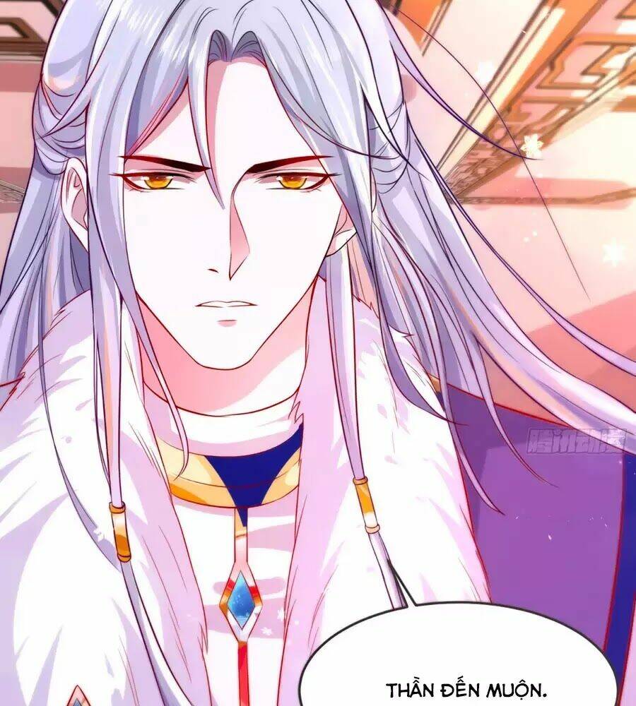 dưỡng thú vi phi chapter 4 47