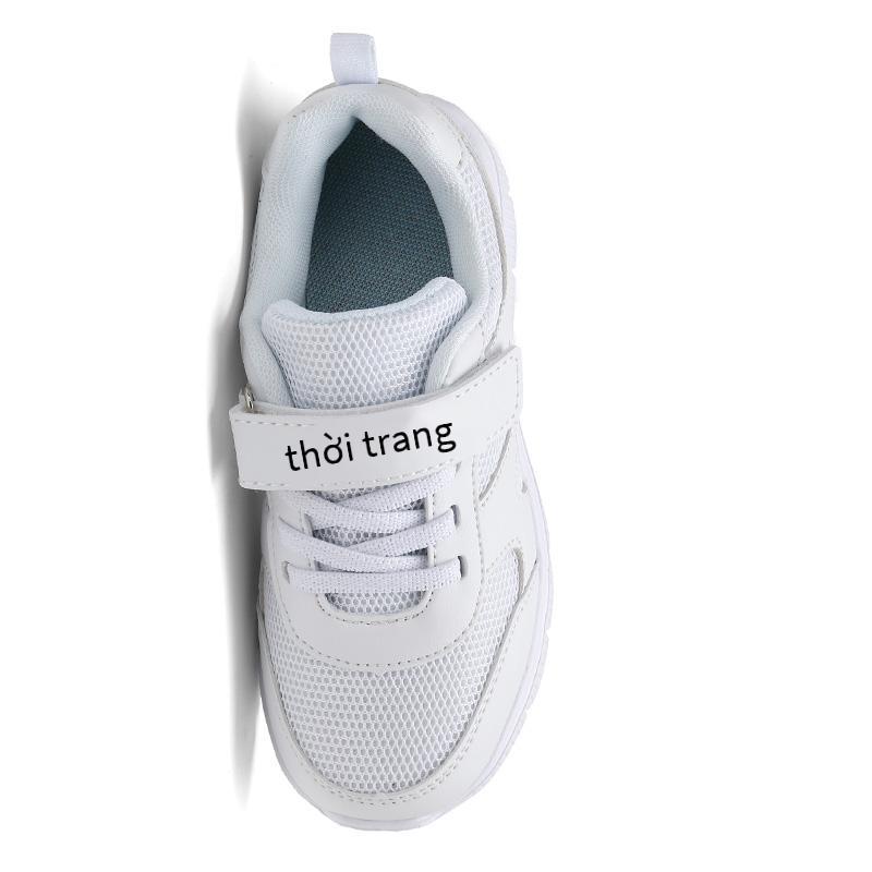 Ưu đãi đặc biệt giày nhỏ màu trắng trong giày hợp thời trang giày đôi giày thể thao tại chỗ giày đôi phong cách mới nhất