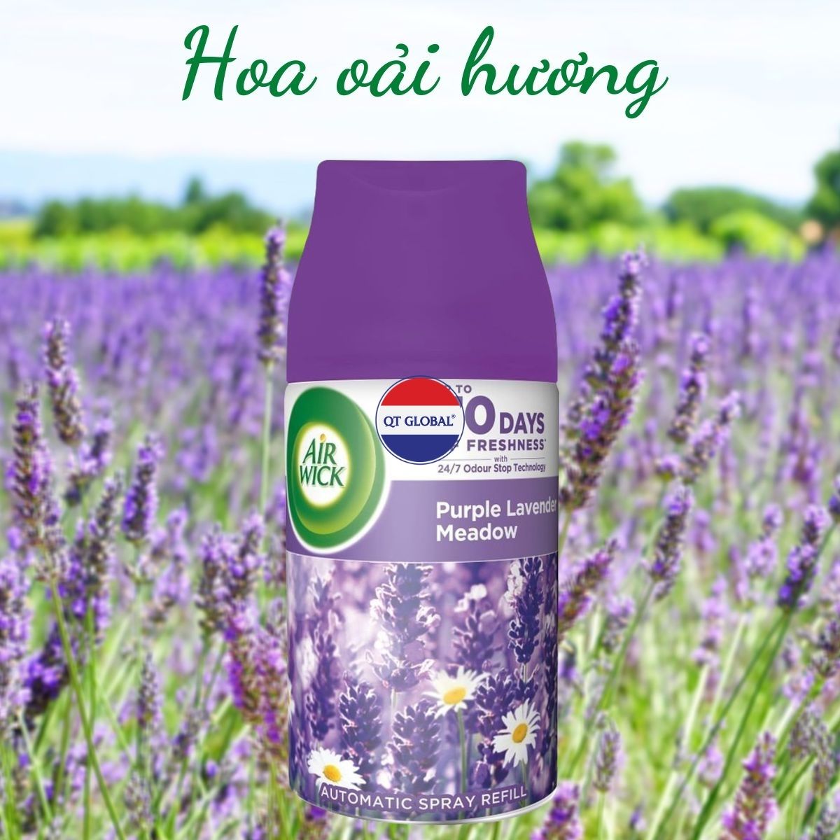 Bình xịt thơm phòng Air.Wick Purple Lavender Meadow 250ml QT016838 - hoa oải hương