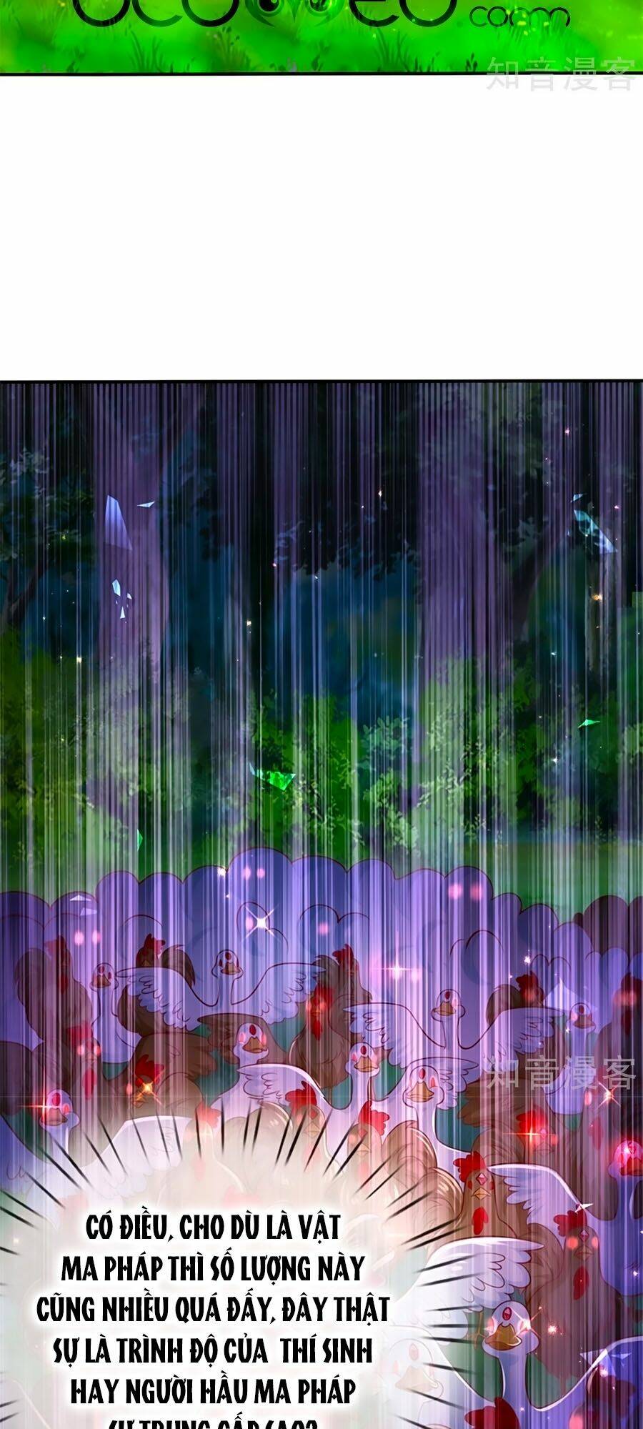 bỗng một ngày trở thành con gái nhà vua chapter 244 17