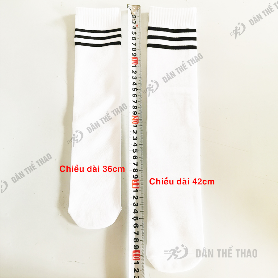 Vớ tất cổ cao nữ dài dưới gối phong cách thể thao hàn quốc chất liệu cotton dài 42cm xinh xắn giá rẻ