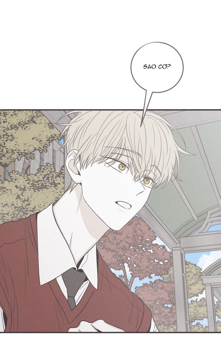 chiếu tướng chapter 111 8