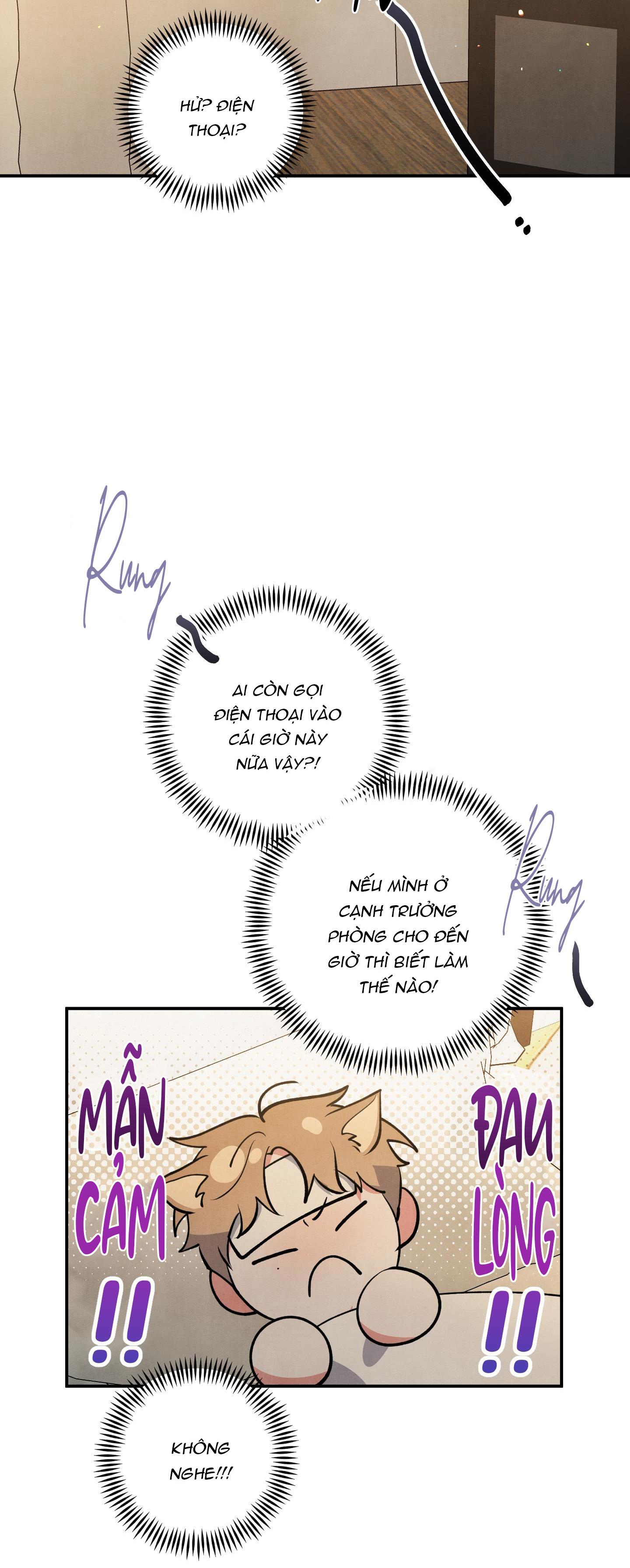 mối quan hệ ngu ngốc chapter 52 46