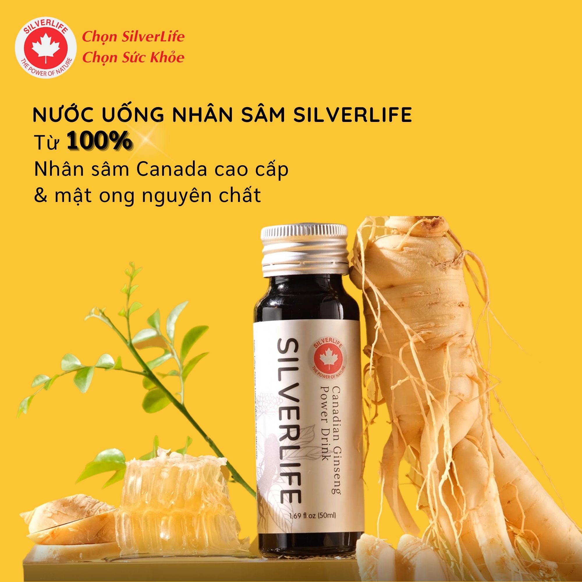 Combo 2 hộp trà nhân sâm Canada SilverLife 48gram tặng 1 chai nước nhân sâm 50ml | 100% nhân sâm Canada nguyên chất