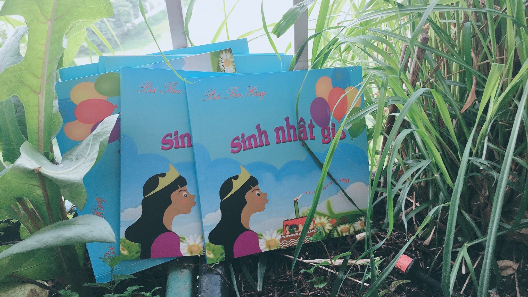 Sinh nhật gió