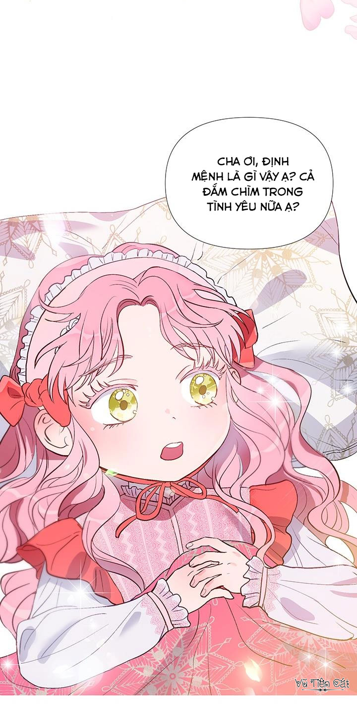 elizabeth chapter 1 5