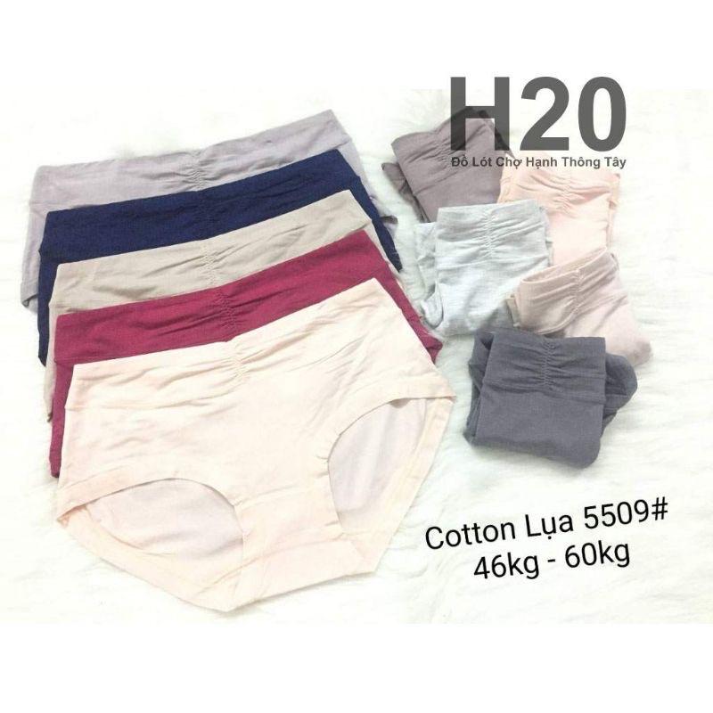 Combo 5 Quần Lót Cotton cạp cao mã 5509
