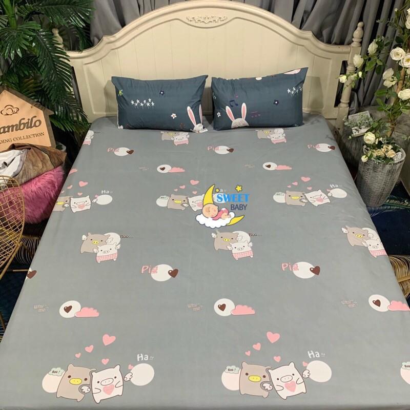 Ga chống thấm cotton cao cấp