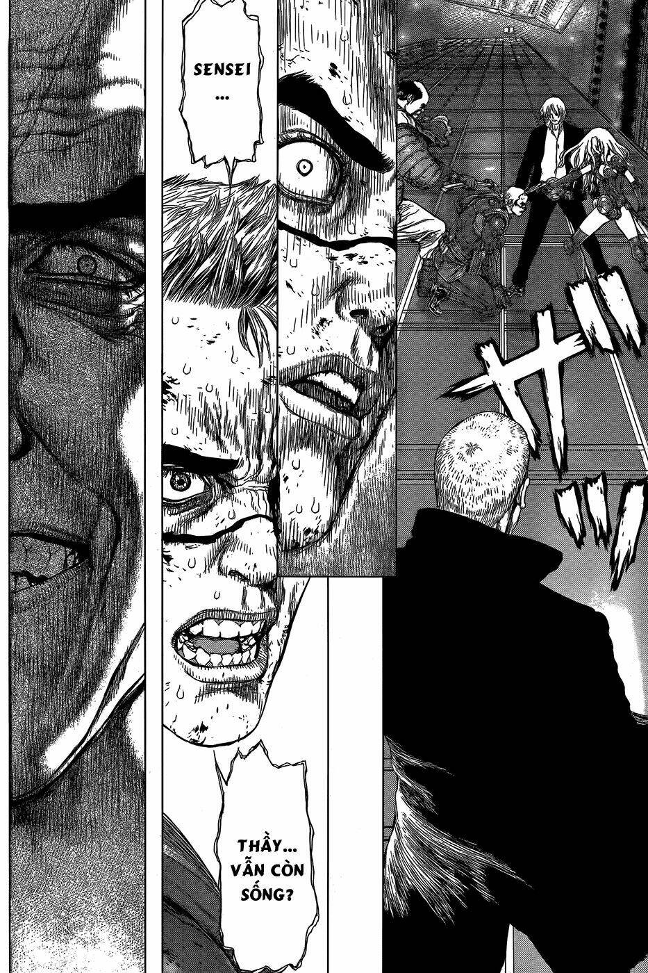 wallman chapter 13 14