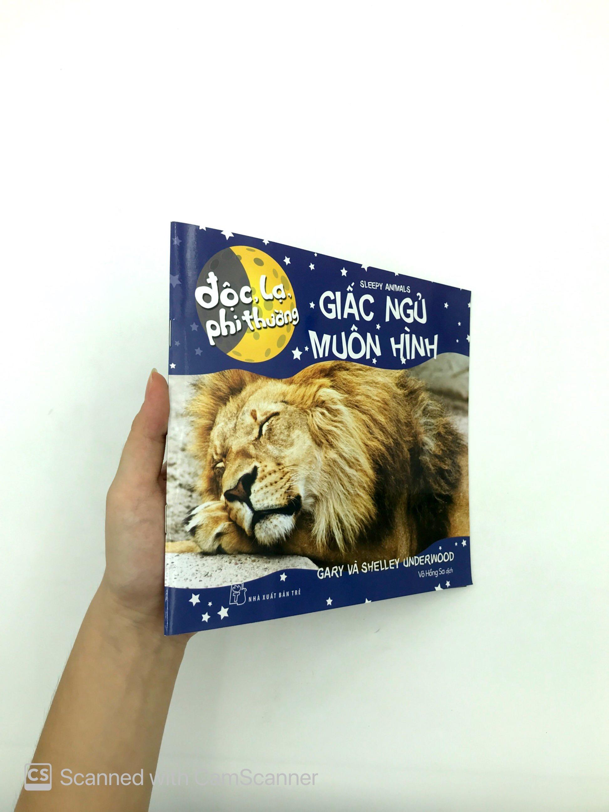 Độc Lạ Phi Thường - Giấc Ngủ Muôn Hình