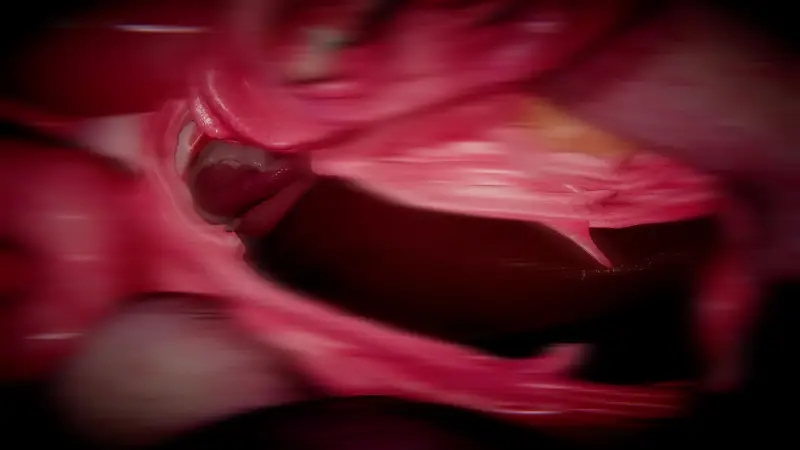 đừng gây sự với karu chapter 1 84