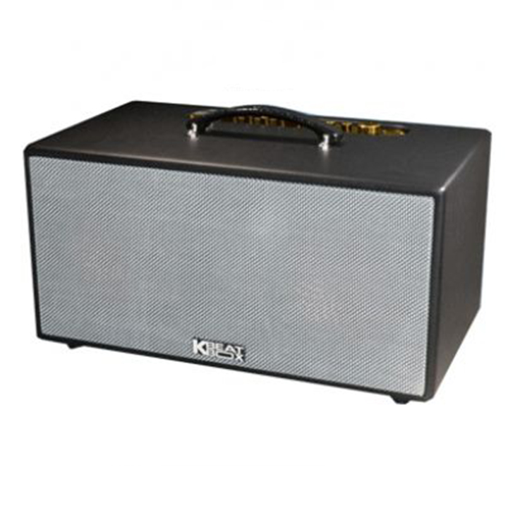 Loa kẹo kéo Acnos KS450M 2 bass, 2 treble - Hàng Chính Hãng