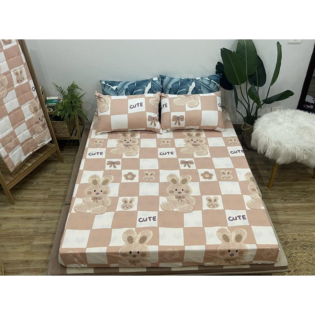 Ga Gối Cotton Chun Siêu Đẹp