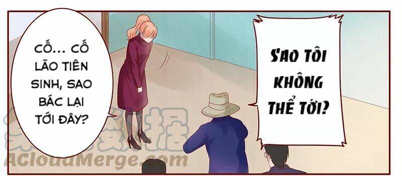 bá đạo tổng tài yêu tôi chapter 117 11
