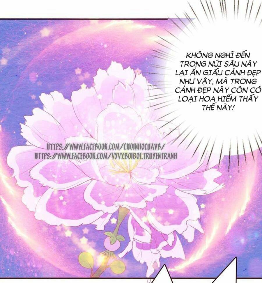 nhân hoa duyên chi sư phụ đại nhân cầu sủng ái chapter 2 22