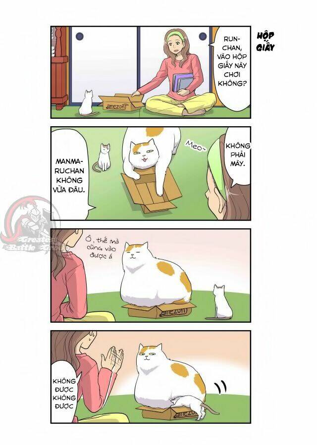 cat is silver vine chapter 4 7