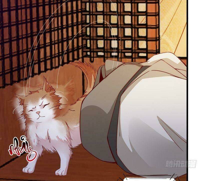 sát thủ vương phi không dễ chọc chapter 31 18