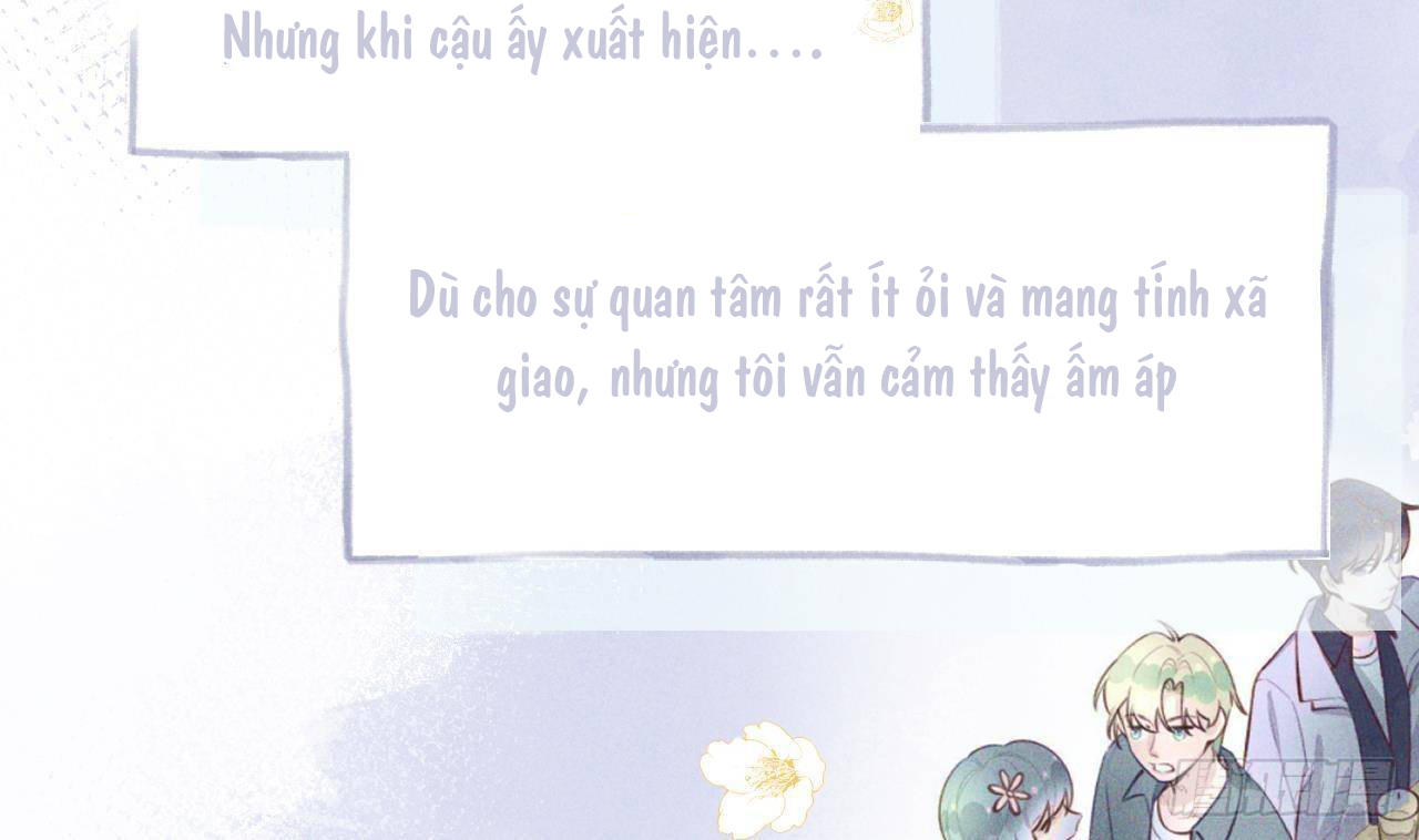 Tình Yêu Mạng Ngọt Ngào Lật Xe Rồi! chapter 49