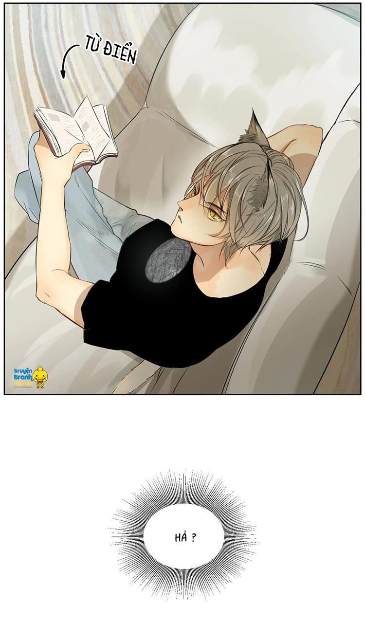 cứu mạng ! loài mèo thống trị thế giới rồi ! chapter 10 19