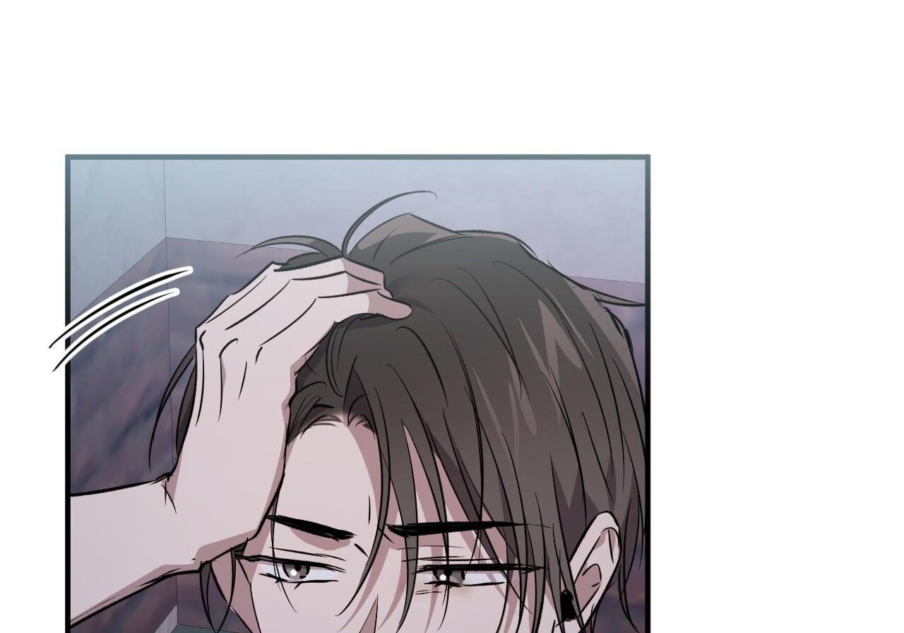 những chú thỏ của hapypy chapter 60 69