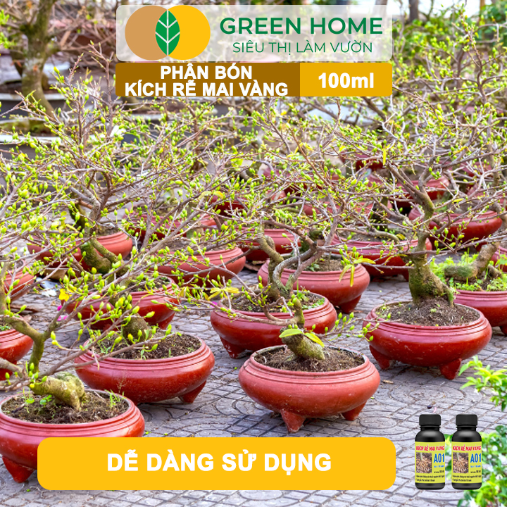 Phân Bón Kích Rễ Mai Vàng GreenHome, Hũ 100ml, Ra Rễ Cực Mạnh Dùng Giâm, Chiết Cành, Chuyên Hoa Mai
