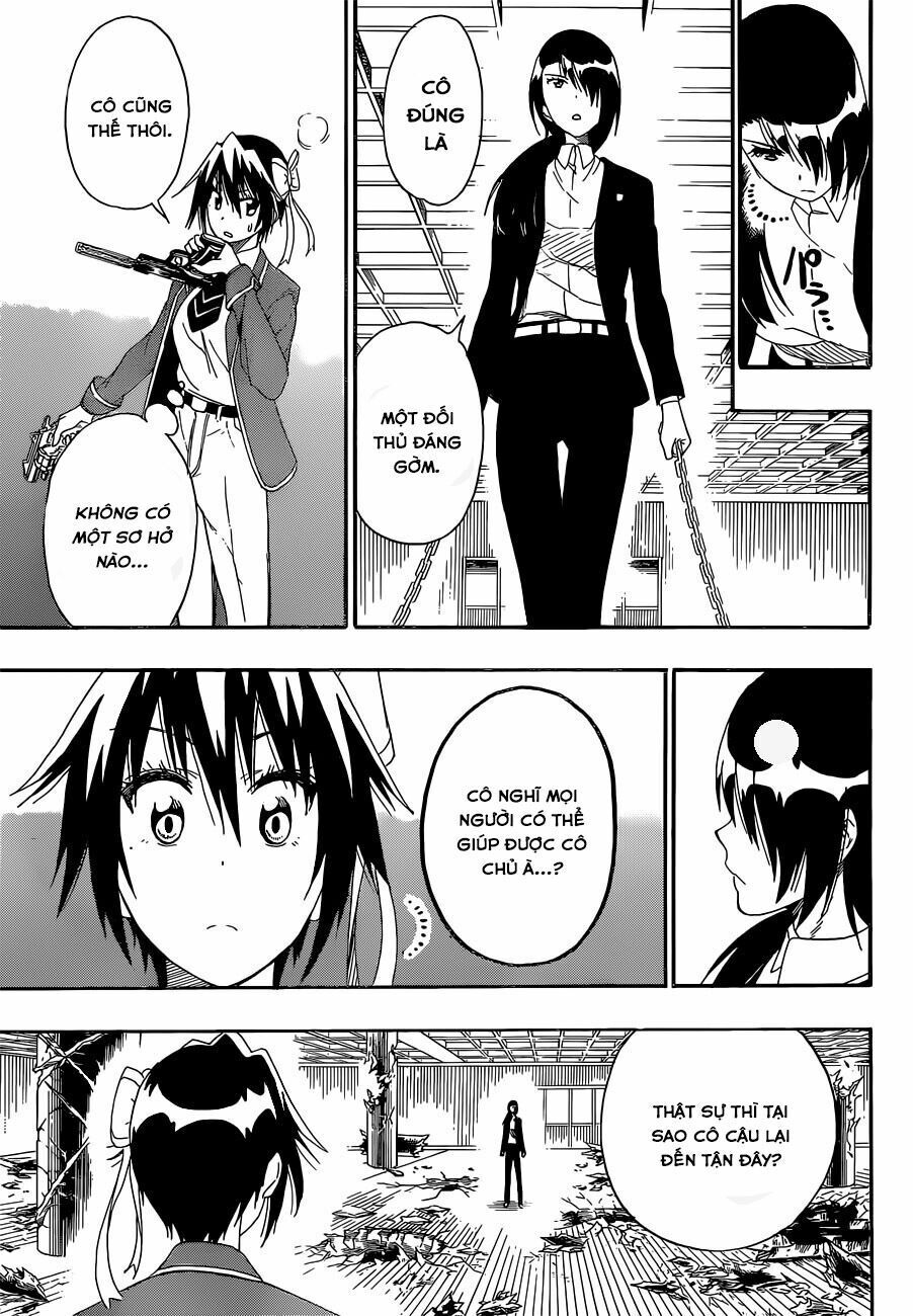 nisekoi - tình yêu giả tạo chapter 185 16