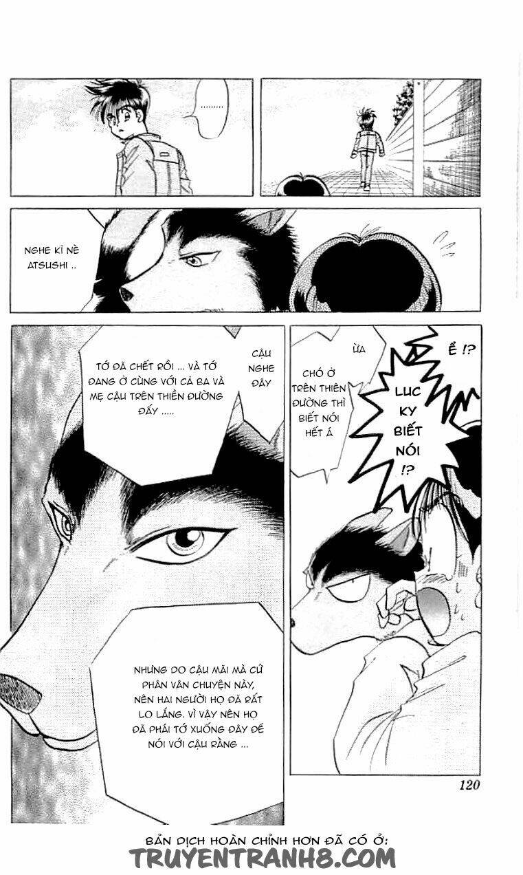 wild half chapter 4 21