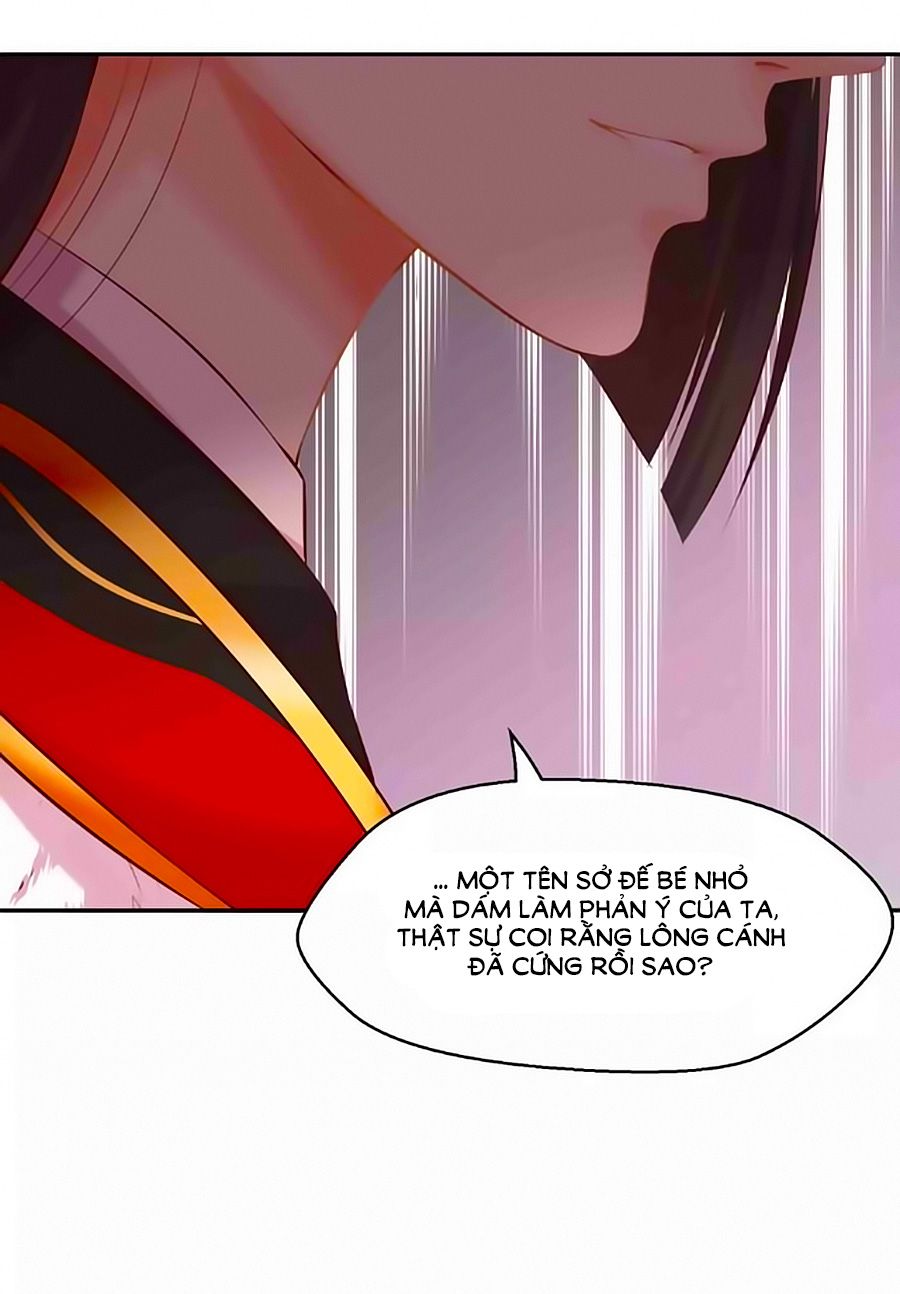 Thịnh Thế Đế Vương Phi chapter 45 - Trang 11