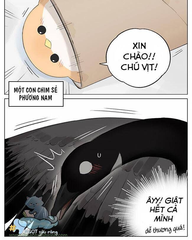 chim sẻ gọi ngỗng trời chapter 3 2