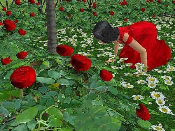 bella's story chapter 8.4 14