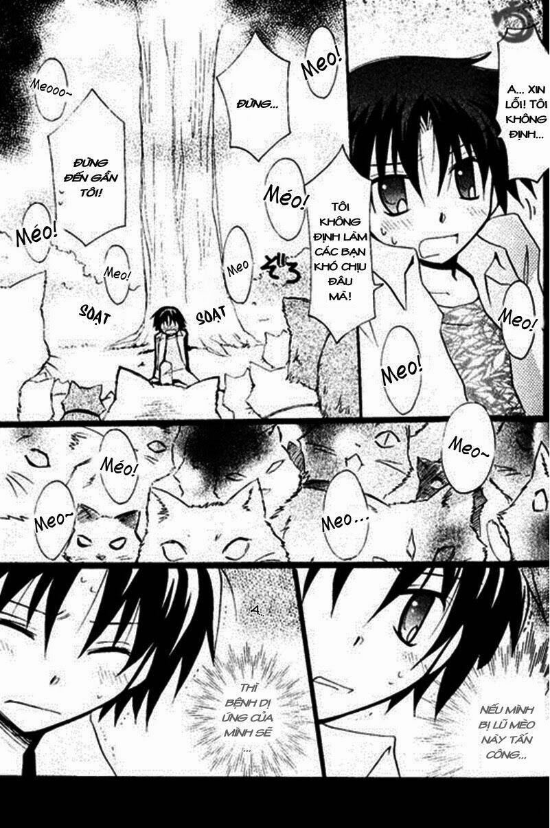 boku x neko? chapter 3.2 8