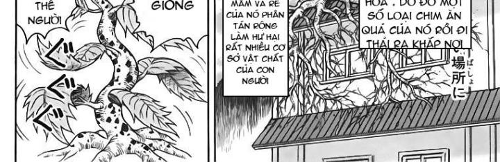 thánh tỏi sành ăn chapter 56 32