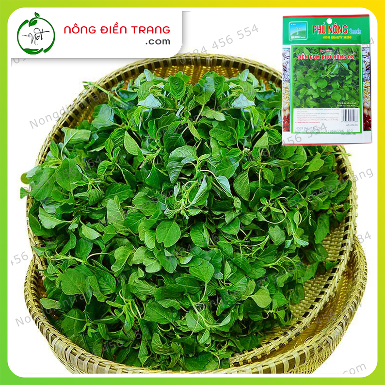 Hạt Giống Rau Dền Cơm Phú Nông - Gói 10g - Dễ trồng, dễ chăm sóc, kháng bệnh tốt, sinh trưởng nhanh VTNN Nông Điền Trang