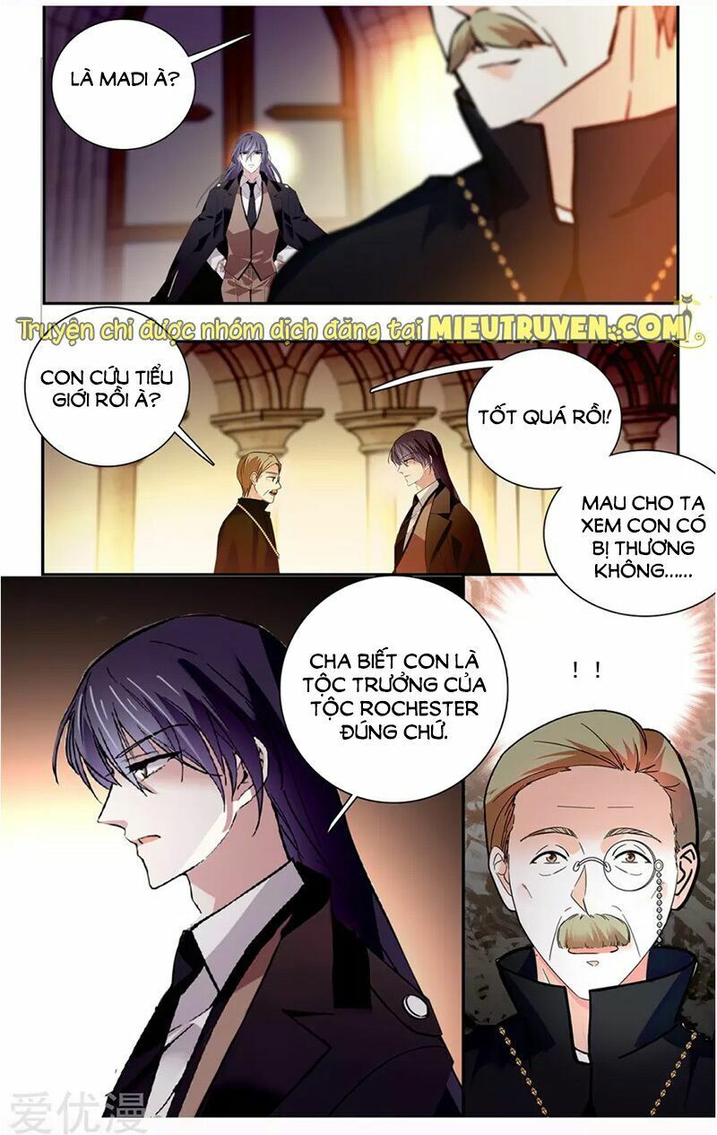 thâm hải nguy tình chapter 113 6