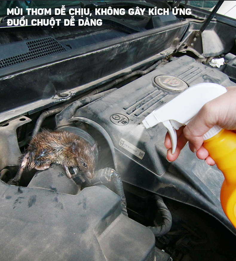 Dung Dịch Xịt Đuổi Chuột MOUSE REPELLENT CARJAY 500ml, Bảo Vệ Ô Tô Khỏi Chuột Hiệu Quả, An Toàn Và Dễ Sử Dụng - Hàng Nhập Khẩu